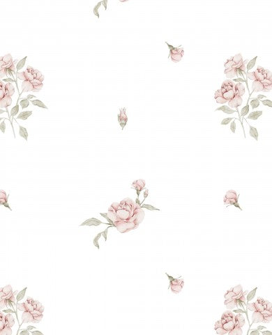 Jersey Pink roses small white