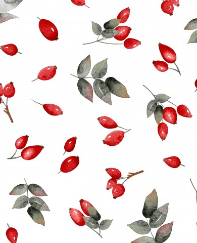 Wasserdichter Stoff Rosehips white