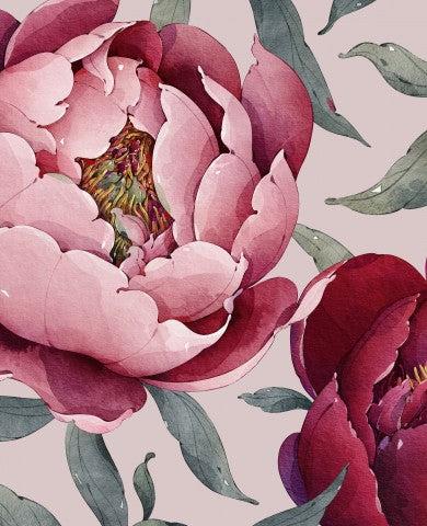 Satin cotton a watercolor of pink peonies on a light background
