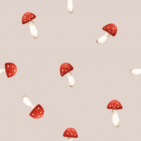 Jersey Red Fly Agaric