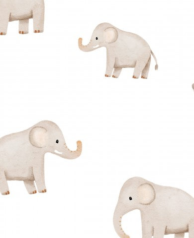 Jersey safari elephants on white