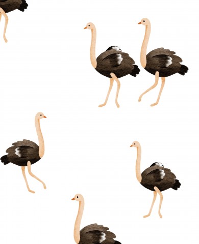 Jersey safari ostrich big