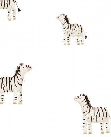 Jersey safari zebra on white