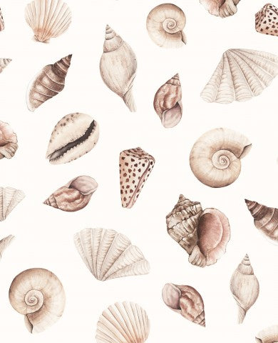 Coquillages et moules en French Terry sur fond blanc