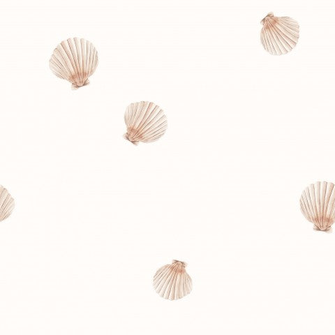 Coquilles Saint-Jacques en French Terry sur fond blanc