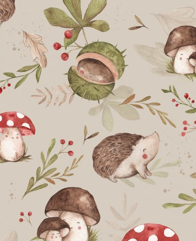 Hérissons et champignons à carapace molle
