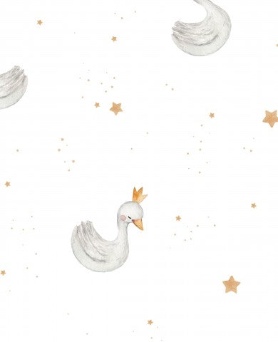 Jersey Swan
