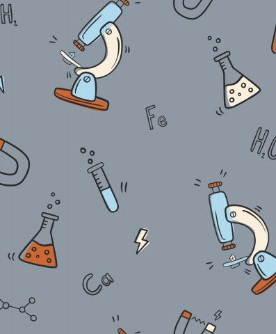 Muslin Science 2