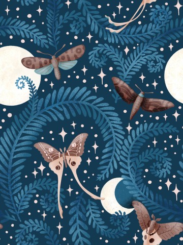 Canvas cotton moths and stars in the night sky on a blue background