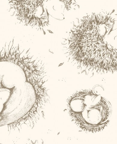  Mussola con illustrazione di ricci neonati in un nido