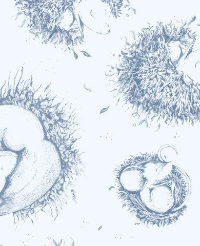  French Terry, un disegno di ricci neonati in un nido