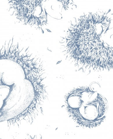  French Terry, un'illustrazione di cuccioli di riccio in un nido