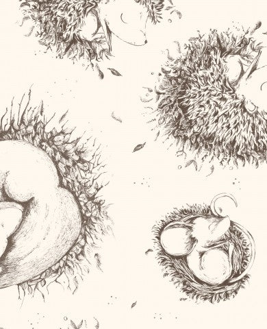  Maglia a coste, un disegno di ricci neonati in un nido