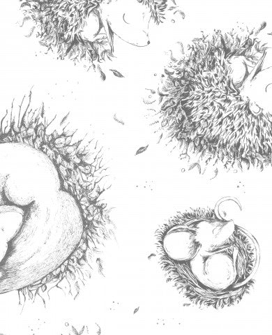  French Terry, un disegno di ricci neonati in un nido