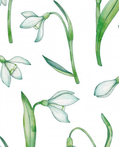 Rib Jersey einer Aquarellillustration von Schneeglöckchen