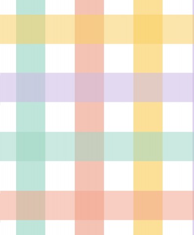 Jersey Summer Rainbow Check