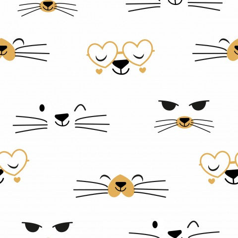 Visages de chats mignons en SoftShell