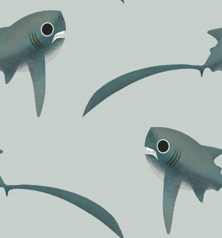 Jersey Thresher Shark blue