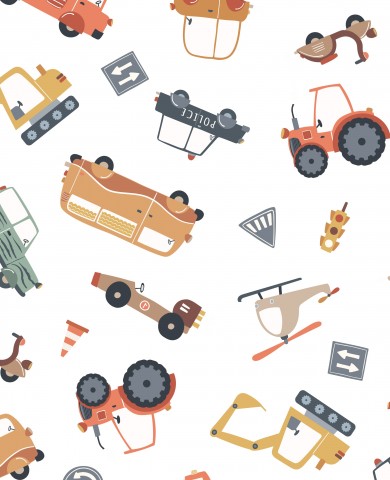  Auto, camion e altri veicoli di Panama