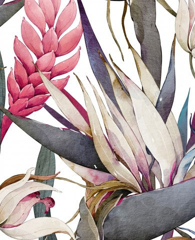  French Terry, un'illustrazione ad acquerello di piante e fiori tropicali