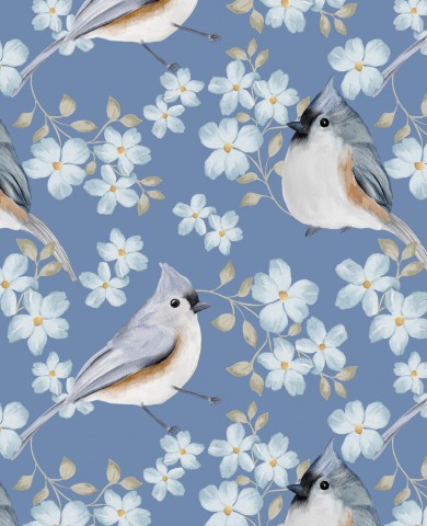 Jersey tufted titmouses blue