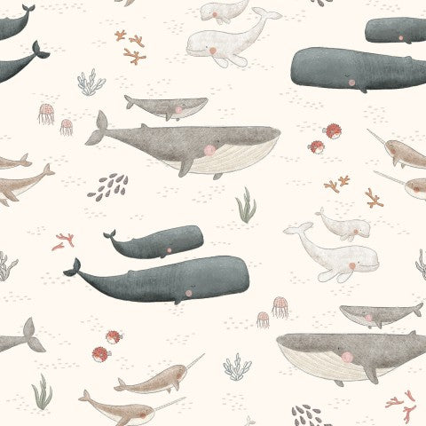 Jersey Whale species small size