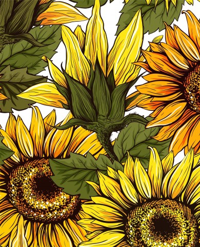Tournesols en satin de coton sur fond blanc