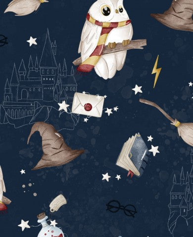  French Terry un tessuto con motivi di Harry Potter, gufi e altri oggetti