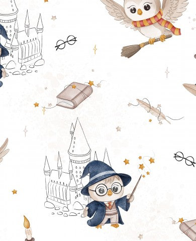 French Terry Harry Potter et les hiboux